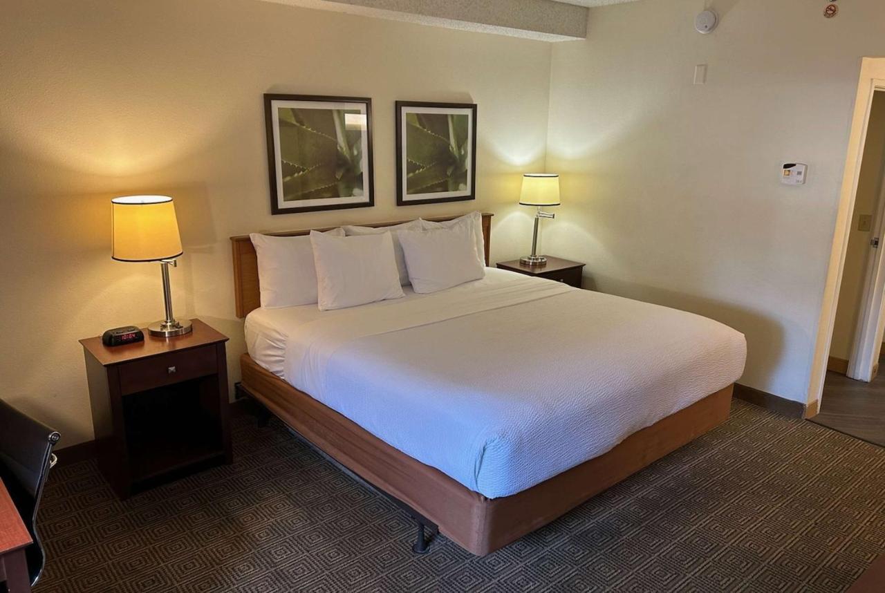 La Quinta By Wyndham Orlando South Hotell Williamsburg Exteriör bild