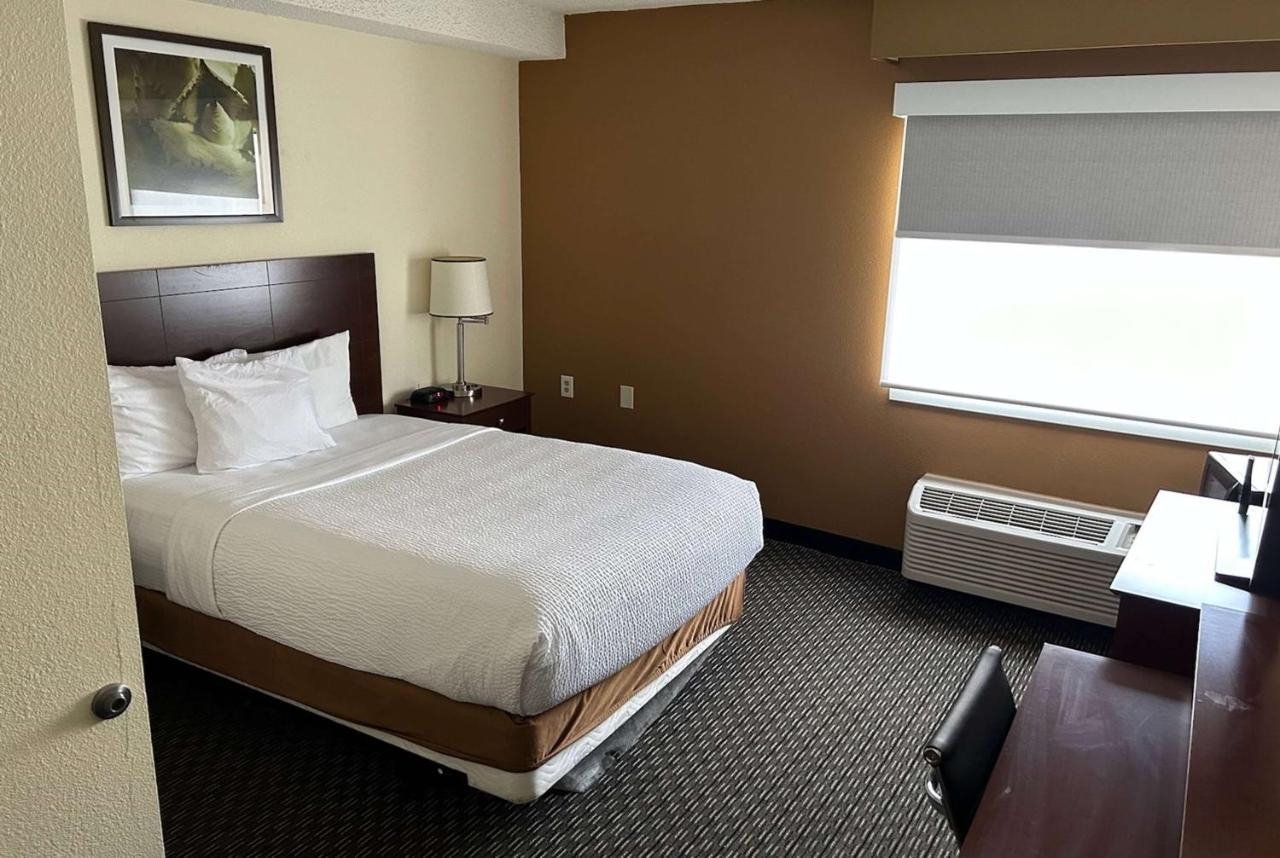 La Quinta By Wyndham Orlando South Hotell Williamsburg Exteriör bild